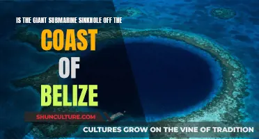 Belize's Blue Hole: A Giant Mystery Under the Sea