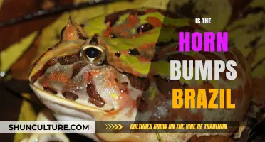 Unraveling the Mystery: Are Horn Bumps Common in Brazil?