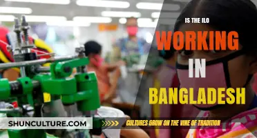 Is the ILO Effectively Addressing Labor Challenges in Bangladesh?