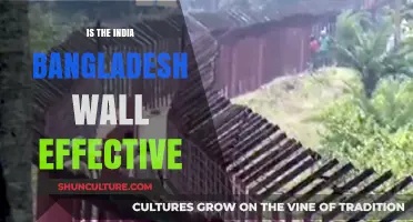 Is the India-Bangladesh Wall Effective? Analyzing Its Impact and Outcomes
