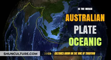Australian-Indian Plate: Oceanic or Continental?