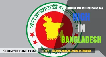 Are Bangladesh's Borrowing Interest Rates Excessively High? A Critical Analysis