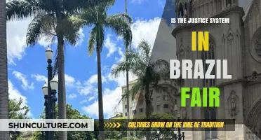 Is Brazil's Justice System Fair? Examining Bias and Equality