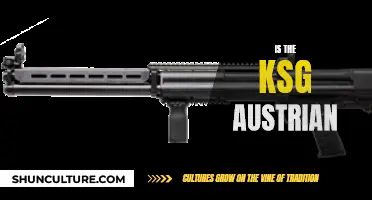 KSG's Origin: Austrian or Not?