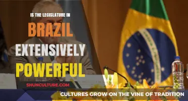 Brazil's Legislature: Unpacking Its Extensive Power and Influence