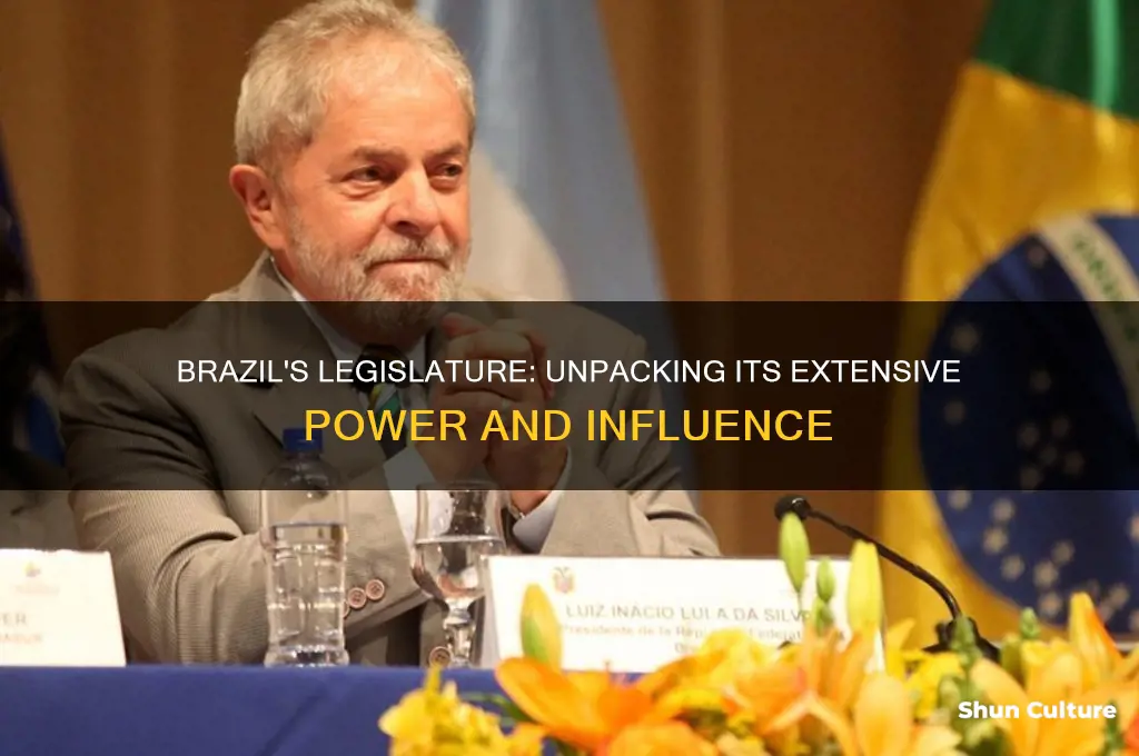 is the legislature in brazil extensively powerful