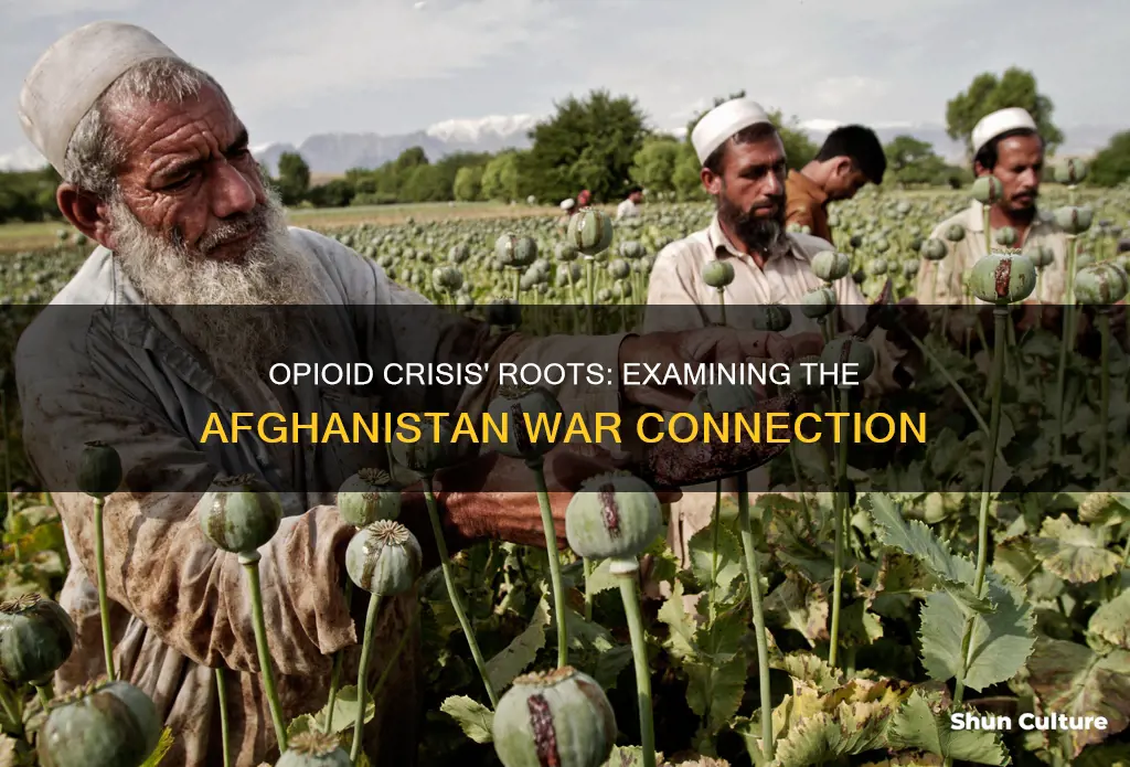 is the opioid crisis due to the war in afghanistan