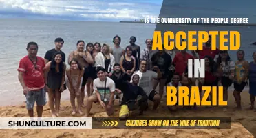 Is University of the People Degree Recognized in Brazil?