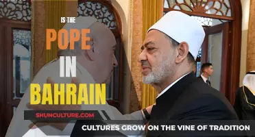 Pope's Bahrain Visit: A Historic First