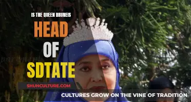 Who's the Head of State? Queen of Brunei vs. Sultan