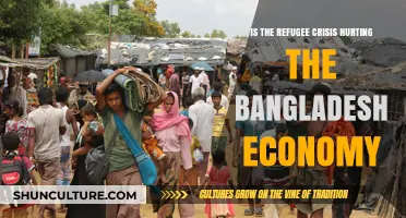 Refugee Crisis Impact: How Bangladesh's Economy is Affected