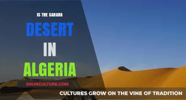 Exploring the Sahara: Algeria's Vast Desert Territory Unveiled
