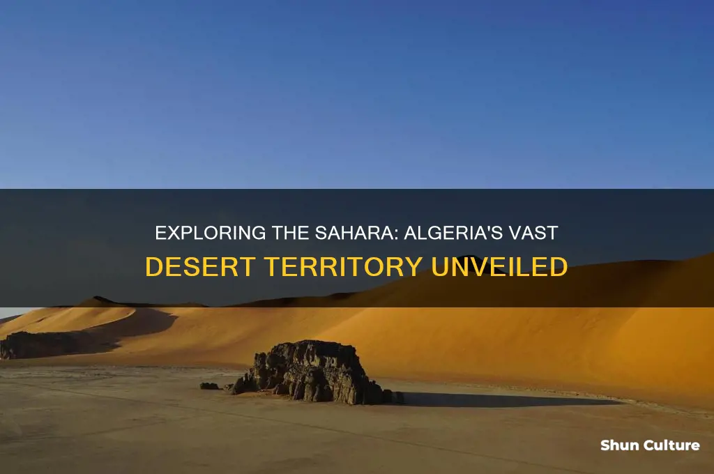 is the sahara desert in algeria