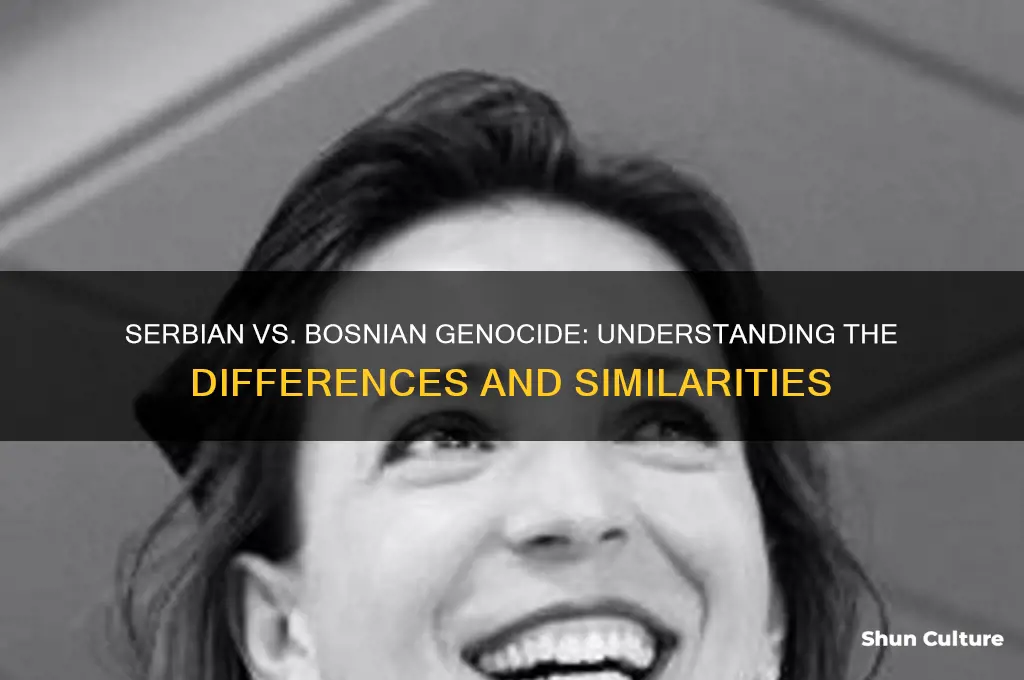 is the serbian and bosnian genocide the same thing
