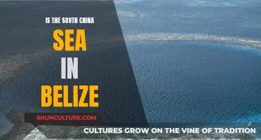 The South China Sea's Reach: Understanding Belize's Maritime Territory