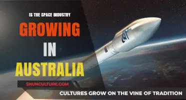Australia's Space Industry: The Next Frontier?