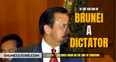 Brunei's Sultan: A Democratic Dictator?