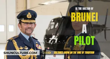 The Sultan of Brunei: A Pilot's Passion