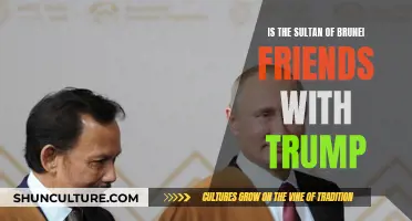 Trump and the Sultan: An Unlikely Friendship