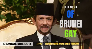 The Sultan of Brunei: Exploring His Sexuality