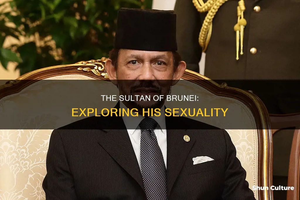 is the sultan of brunei gay