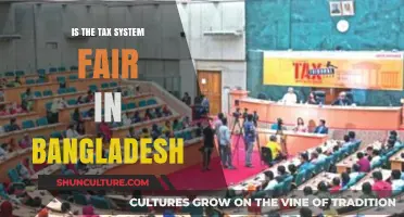 Is Bangladesh's Tax System Fair? Analyzing Equity and Burden Distribution