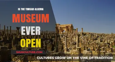 Exploring Timgad Algeria Museum: Open Hours and Visitor Tips