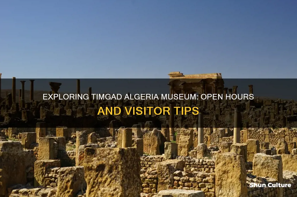 is the timgad algeria museum ever open