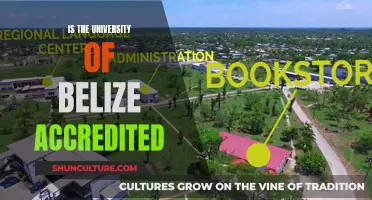 The University of Belize's Accreditation Status: Is It Recognized?