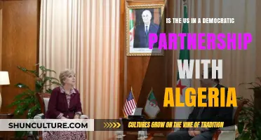 US-Algeria Relations: A Democratic Partnership or Strategic Alliance?