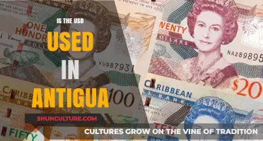 Is the USD Accepted in Antigua? Currency Insights for Travelers