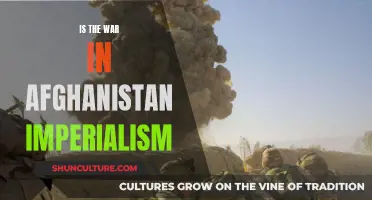 The Complex Imperialist Undertones in the Afghanistan War