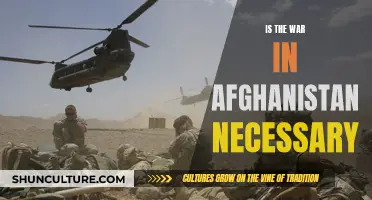 The Afghan Conundrum: Examining the Necessity of War