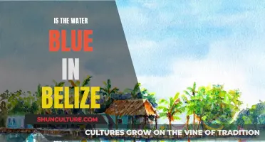 The Belize Blue: A Natural Wonder