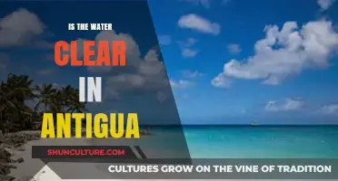 Exploring Antigua's Pristine Waters: Is the Clarity Worth the Hype?