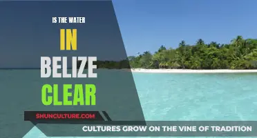 Belize's Water Wonder: Exploring the Clear Seas of this Caribbean Paradise