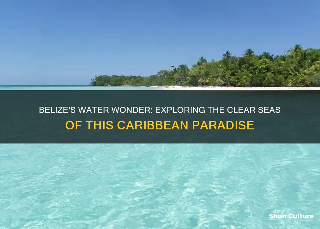 is the water in belize clear