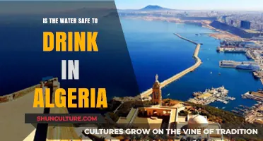 Is Algeria's Tap Water Safe for Drinking? A Comprehensive Guide