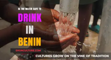 Exploring Water Safety in Benin: A Comprehensive Guide