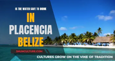 Belize's Placencia Peninsula: Paradise with Potable Water?