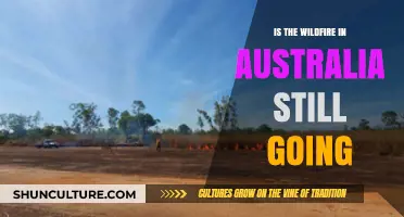 Australia's Wildfire Crisis: Current Status and Ongoing Challenges