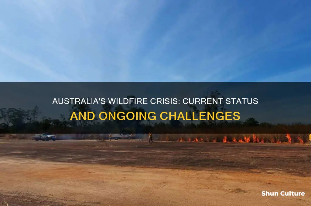 is the wildfire in australia still going