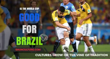World Cup's Impact: Benefits and Challenges for Brazil's Economy and Society
