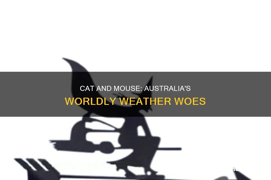 is the world look like a cat playing with australia