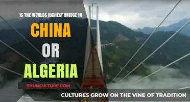 China vs. Algeria: Which Country Hosts the World's Highest Bridge?