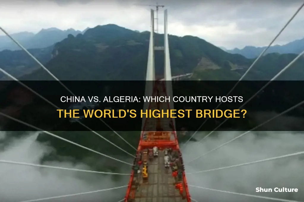 is the worlds highest bridge in china or algeria