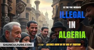 Is YNC Website Illegal in Algeria? Exploring Legal Status and Risks