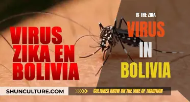 Zika Virus in Bolivia: Understanding the Risk and Impact