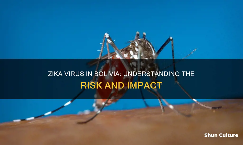 is the zika virus in bolivia