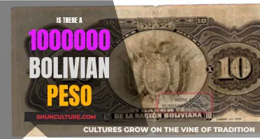 Exploring the Existence of 1,000,000 Bolivian Peso Notes